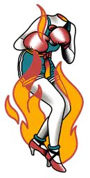 Boxer in Flames