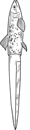 Fish Dagger