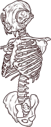 Floating Skeleton