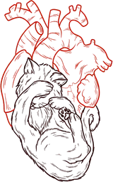 Dual Hearts