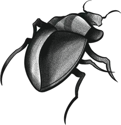Beetle Shell Shield