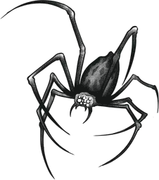 Long-Legged Widow