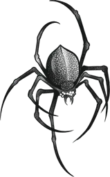 Descending Spider