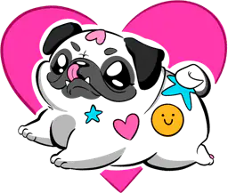 Cute pug and heart