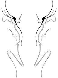 Fluid Front Piece