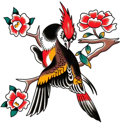 Woodpecker And Flowers