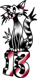 Unlucky Black Cat