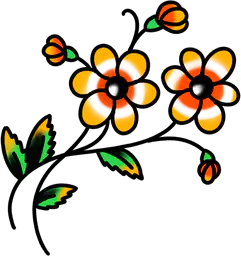 Orange Blossom Branch