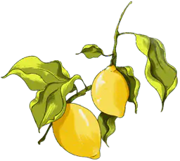Lemon branch