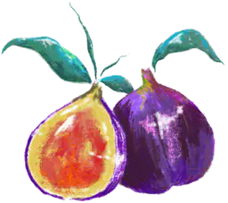 Two figs