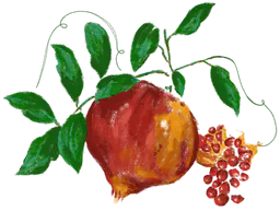 Pomegranate