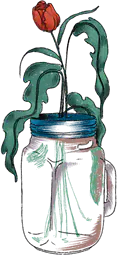 Rose in a glass