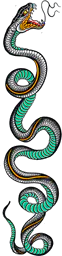 Long Snake Coiled Vertically