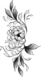 Chrysanthemum