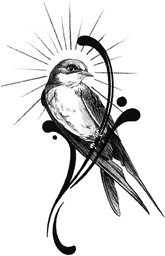 Star Haloed Swallow