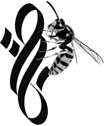 Asemic writing wasp