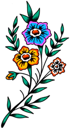 Colorful flowers