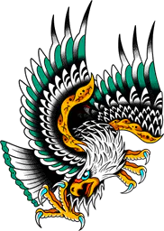 Fierce eagle
