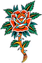 Classic rose