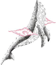Flying Whale