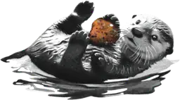 Cute Otter