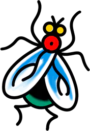 A Fly