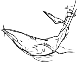 Whale Song