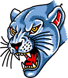 Panther head
